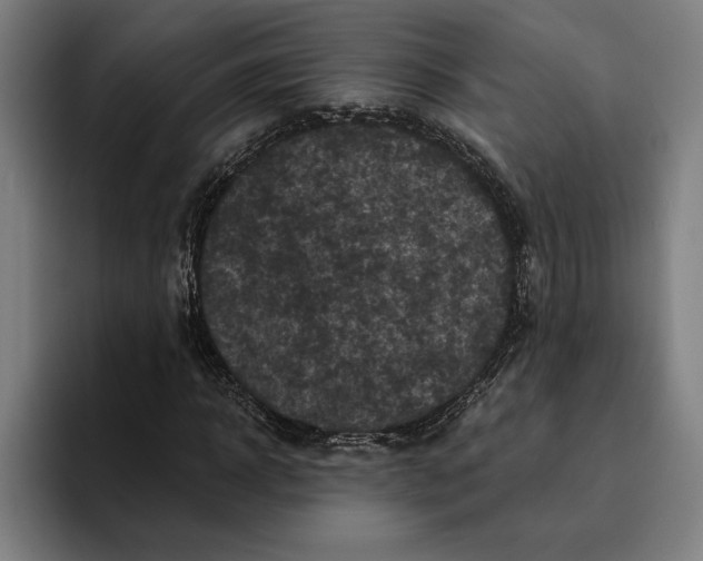 X0000094810918200712071222