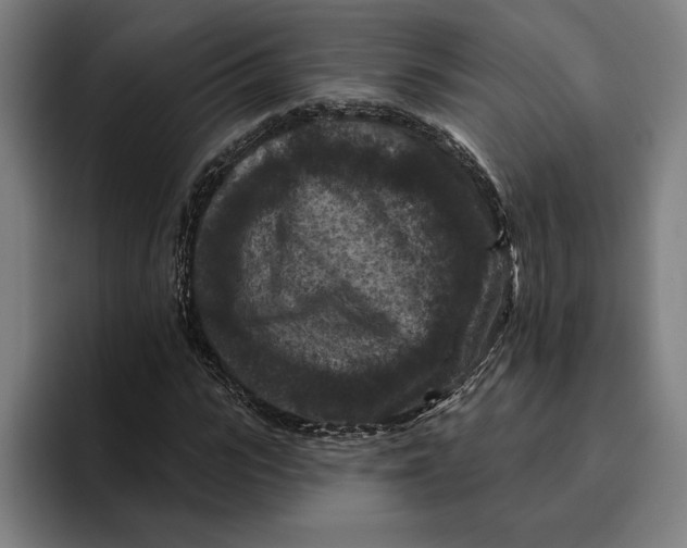 X0000094810919200712071222