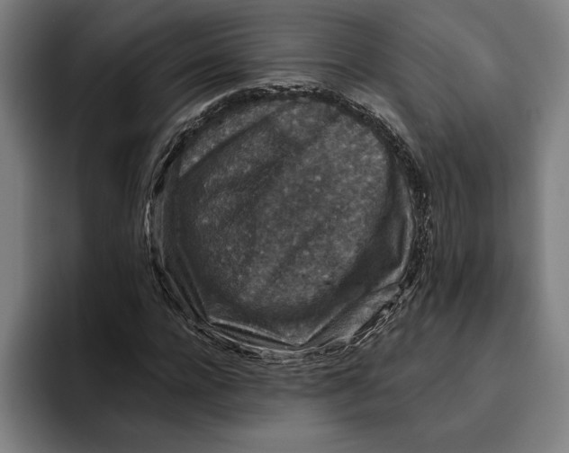 X0000094810920200712071222