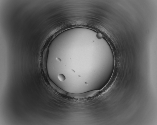 X0000094810922200712071222