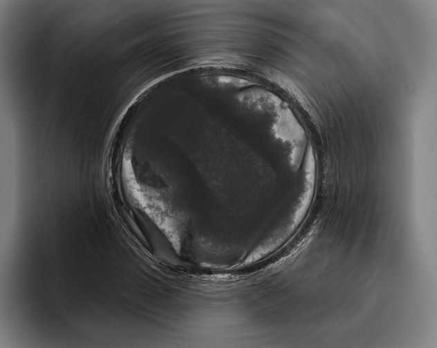 X0000094810923200712071222