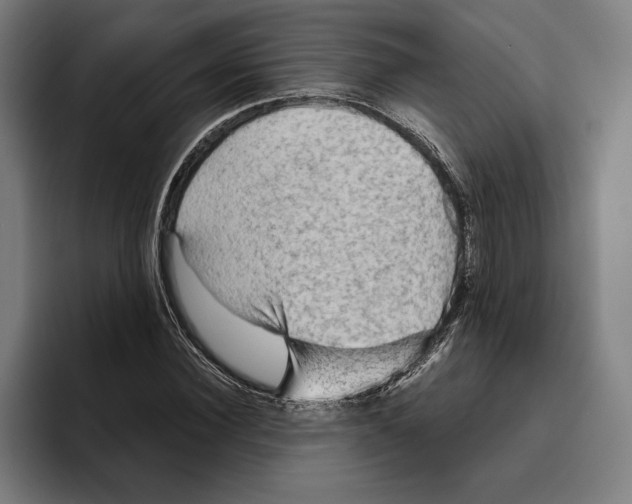 X0000094810924200712071222