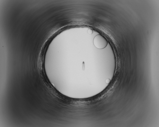 X0000094810925200712071222