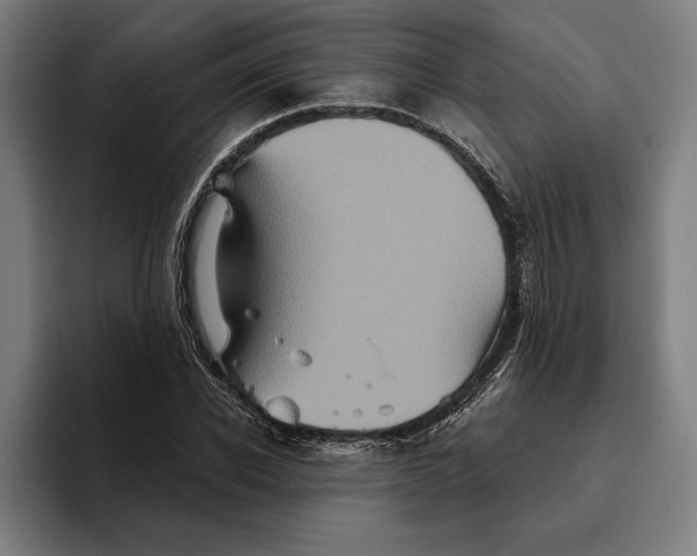 X0000094810926200712071222