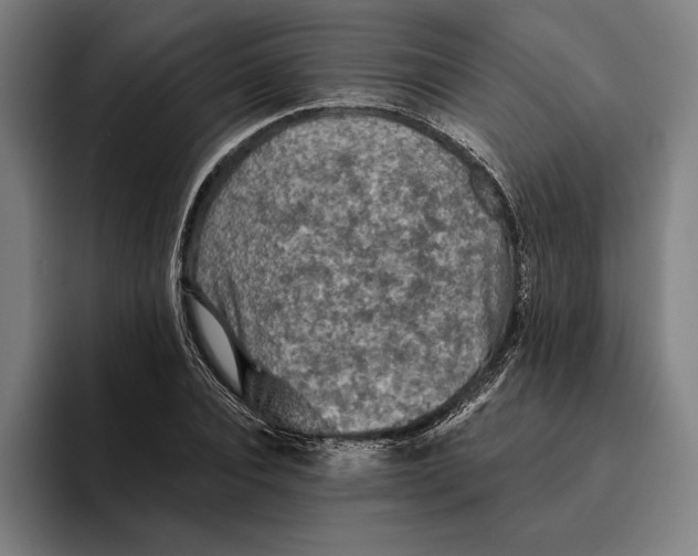 X0000094810928200712071222