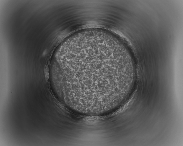 X0000094810929200712071222