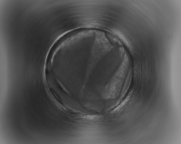 X0000094810932200712071222