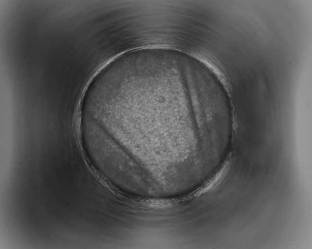 X0000094810933200712071222