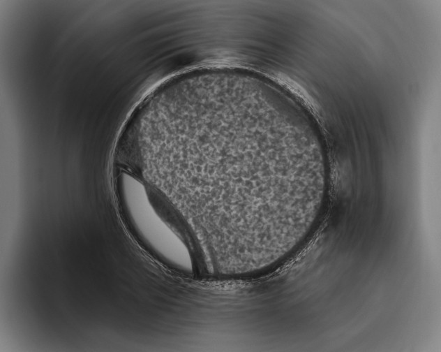 X0000094810934200712071222