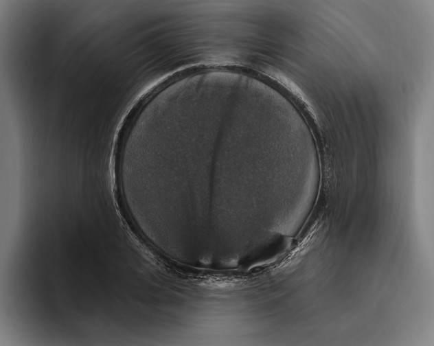 X0000094810935200712071222