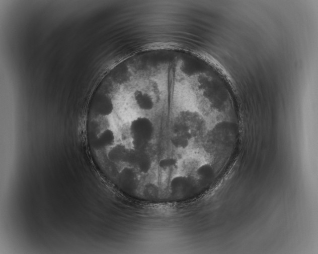 X0000094810937200712071222