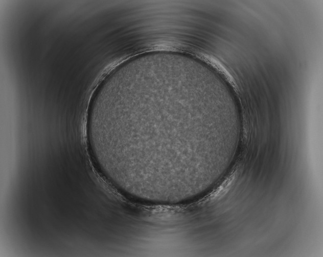 X0000094810938200712071222