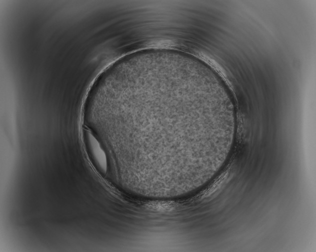 X0000094810939200712071222