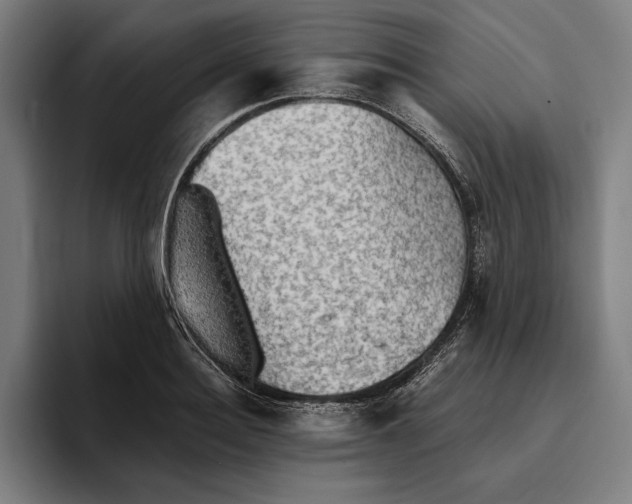 X0000094810940200712071222