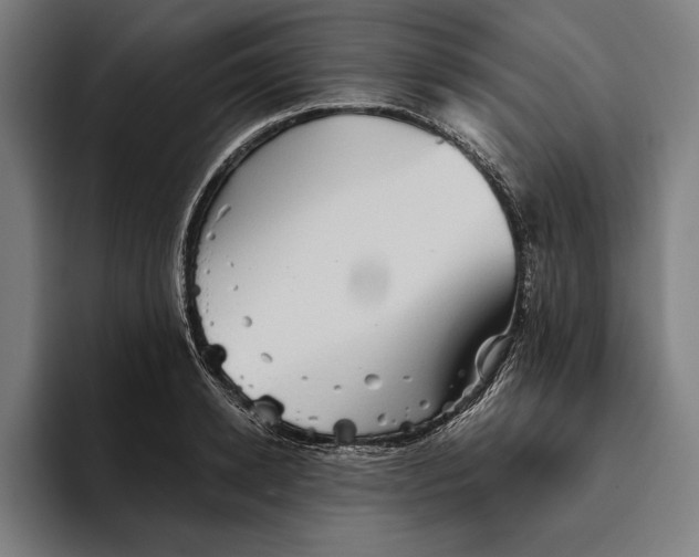 X0000094810942200712071222