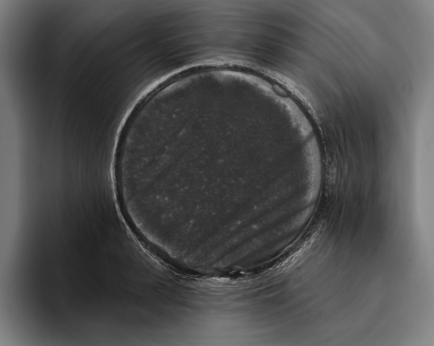 X0000094810943200712071223