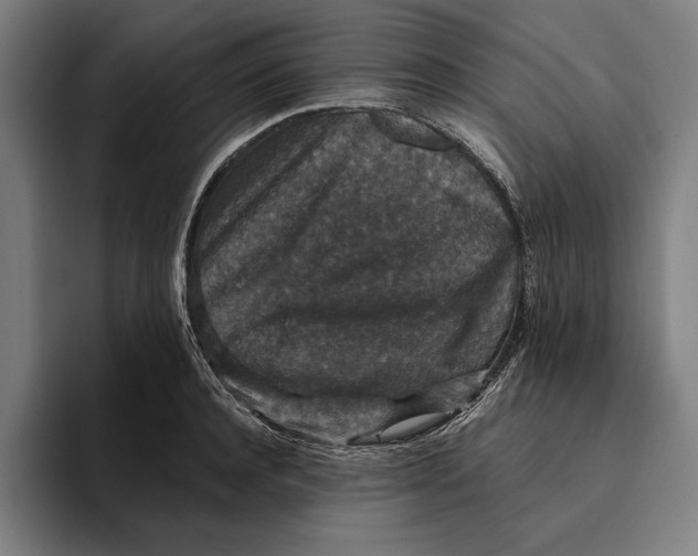 X0000094810944200712071223