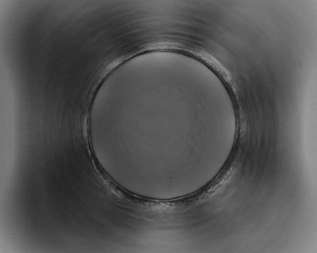 X0000094810945200712071223