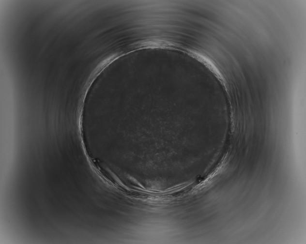 X0000094810946200712071223