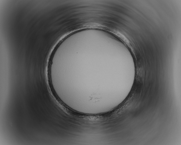 X0000094810947200712071223