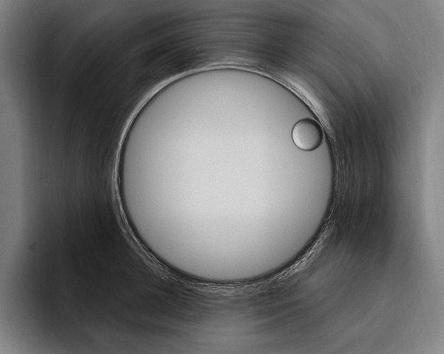 X0000094810948200712071223