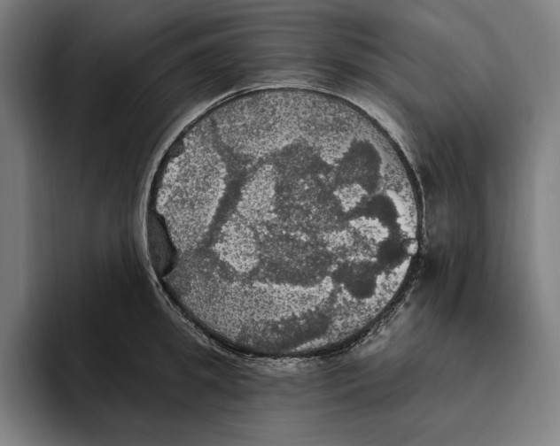 X0000094810949200712071223