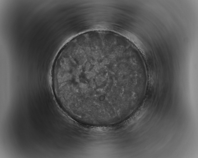 X0000094810950200712071223