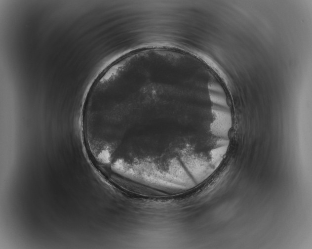 X0000094810951200712071223