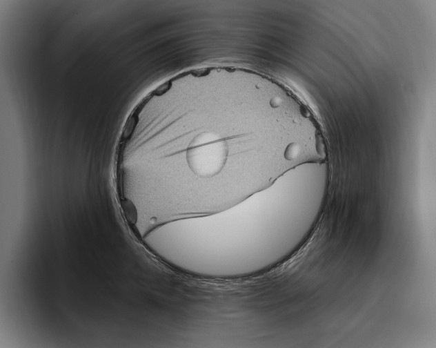 X0000094810952200712071223