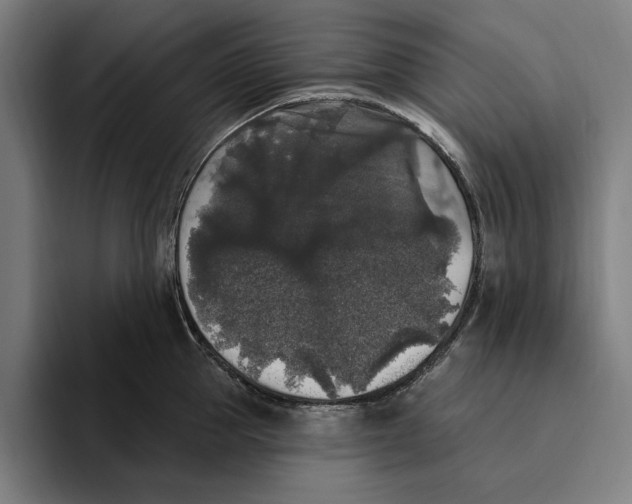 X0000094810953200712071223