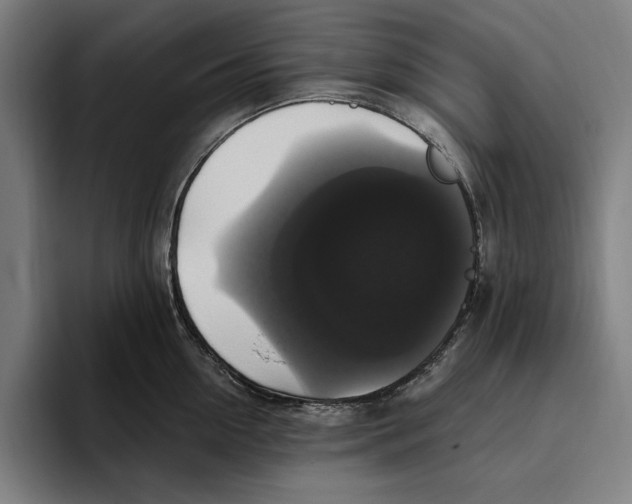 X0000094810954200712071223