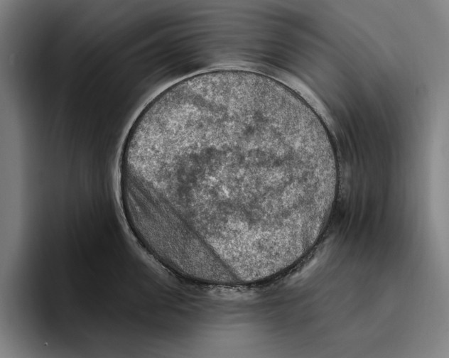 X0000094810955200712071223