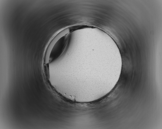 X0000094810956200712071223