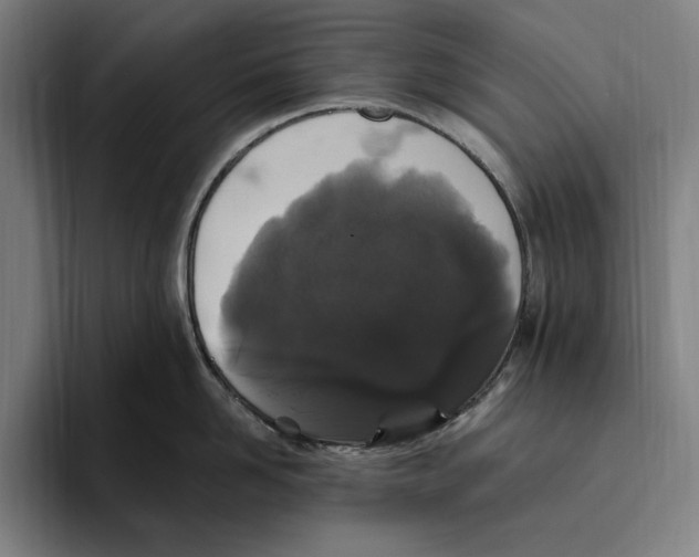 X0000094810958200712071223