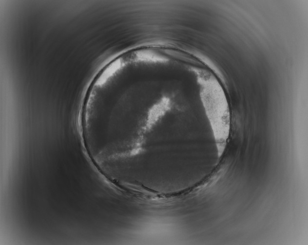 X0000094810959200712071223