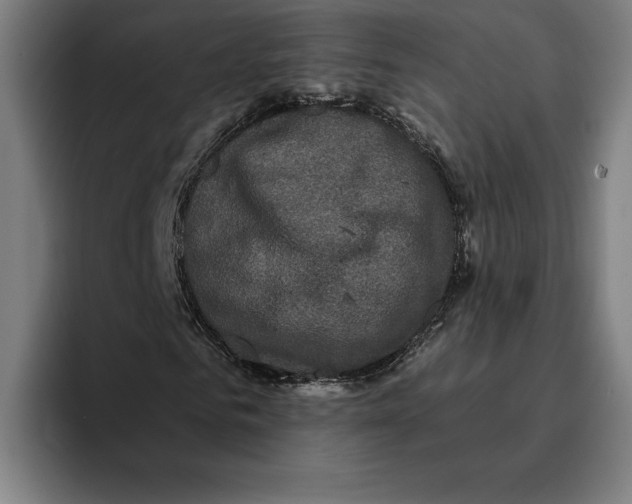 X0000094810961200712071222