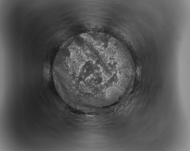 X0000094810963200712071222