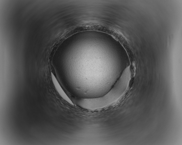 X0000094810965200712071222