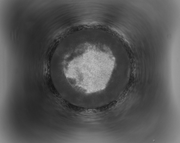 X0000094810966200712071222