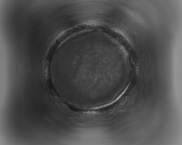 X0000094810968200712071222