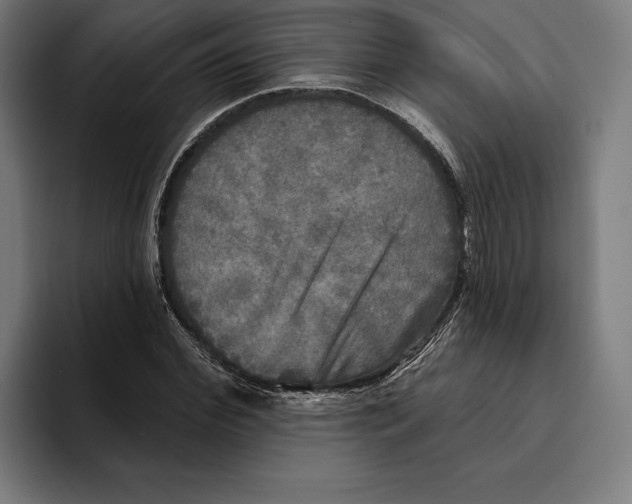 X0000094810972200712071222