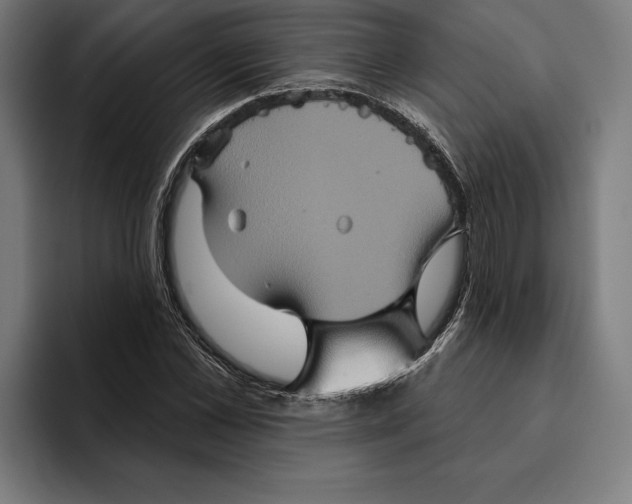 X0000094810973200712071222