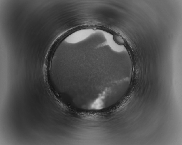 X0000094810975200712071222