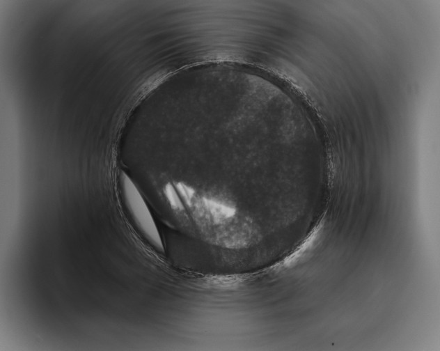 X0000094810977200712071222