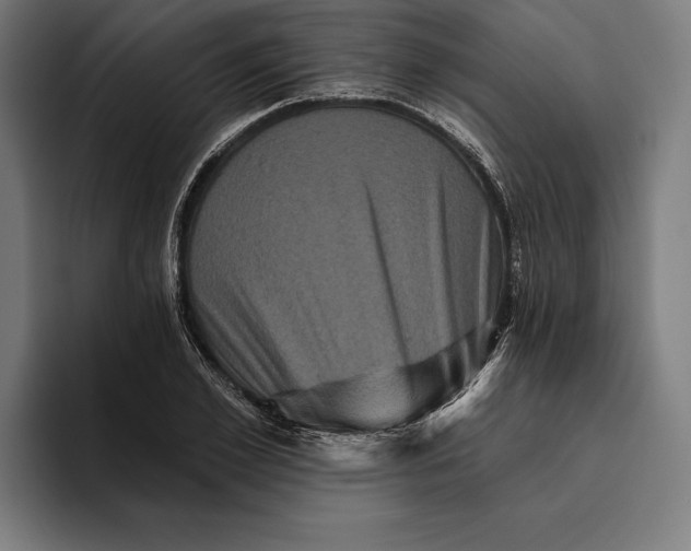 X0000094810981200712071222