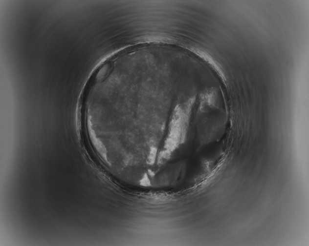 X0000094810983200712071222