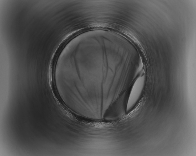 X0000094810984200712071222