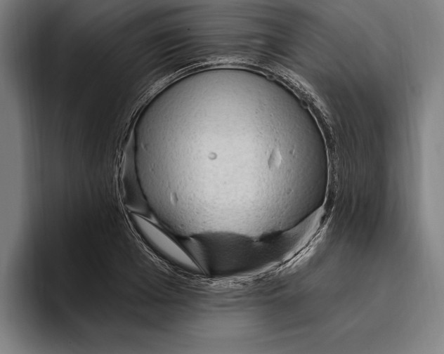 X0000094810985200712071222