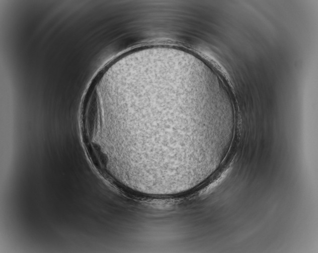 X0000094810989200712071222