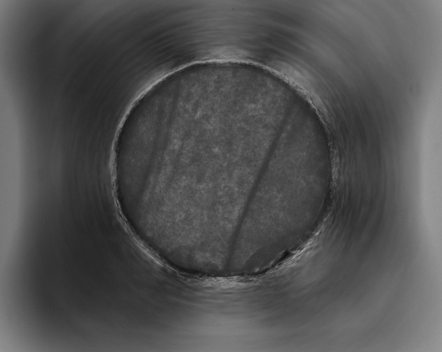 X0000094810990200712071222